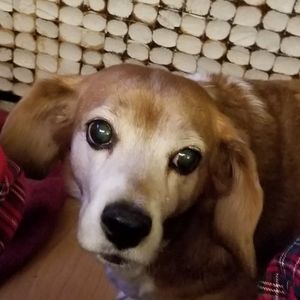 Meet your Posher, Jim